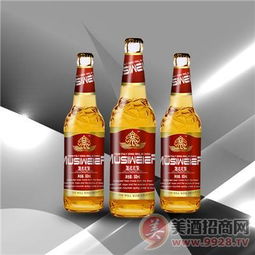 山东大型啤酒生产厂家各种规格啤酒诚招各地区代理商 批发商